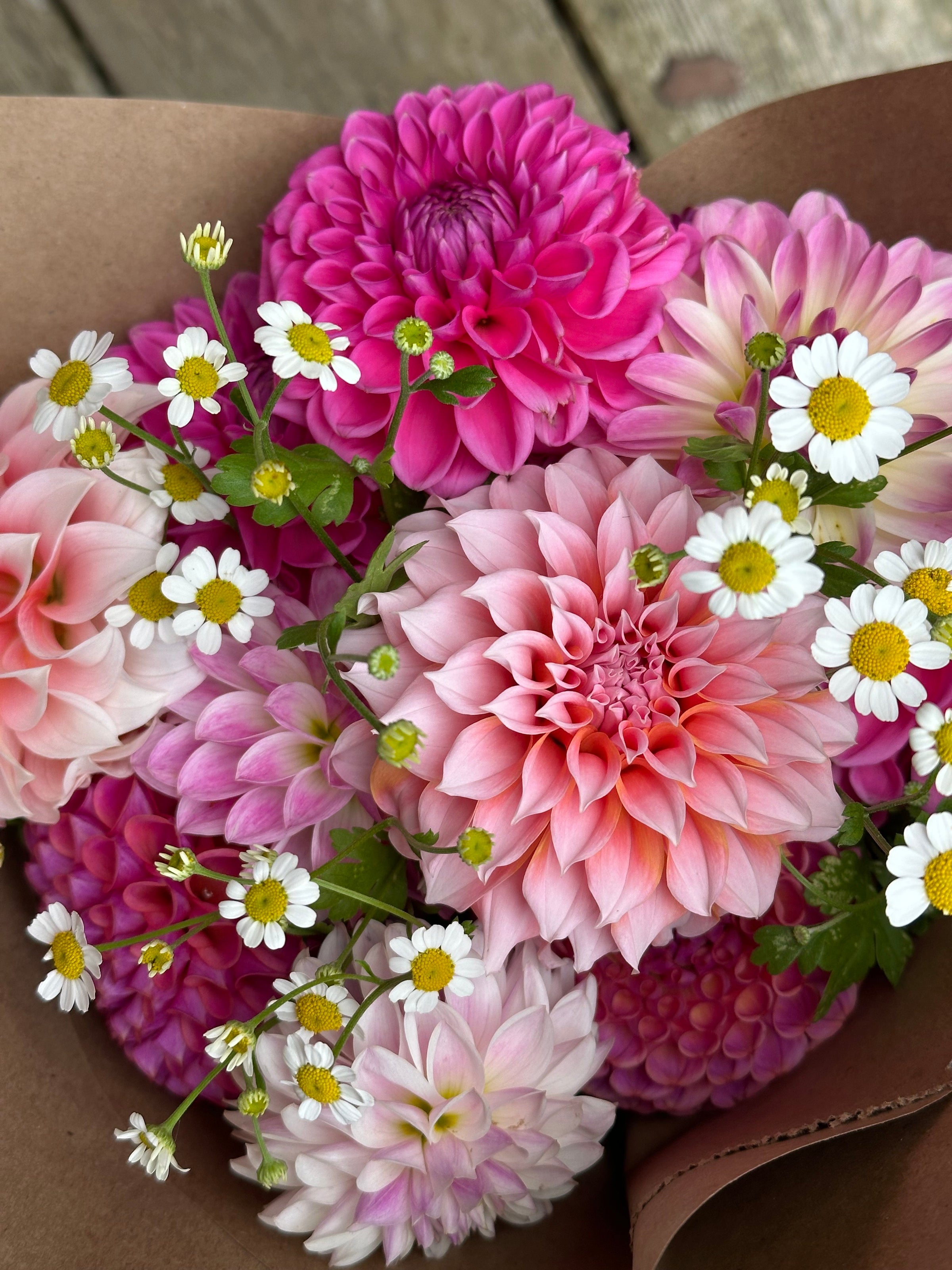 2026 Dahlia Subscription (5 weeks) | Quietside Flower Farm